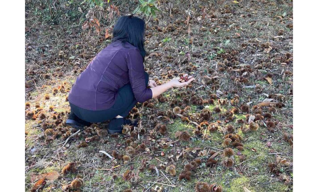 newest-news-post-image