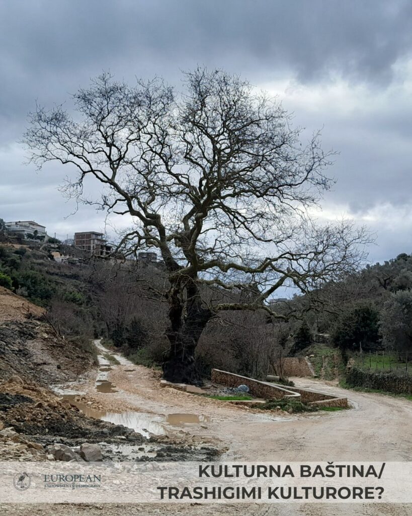 newest-news-post-image