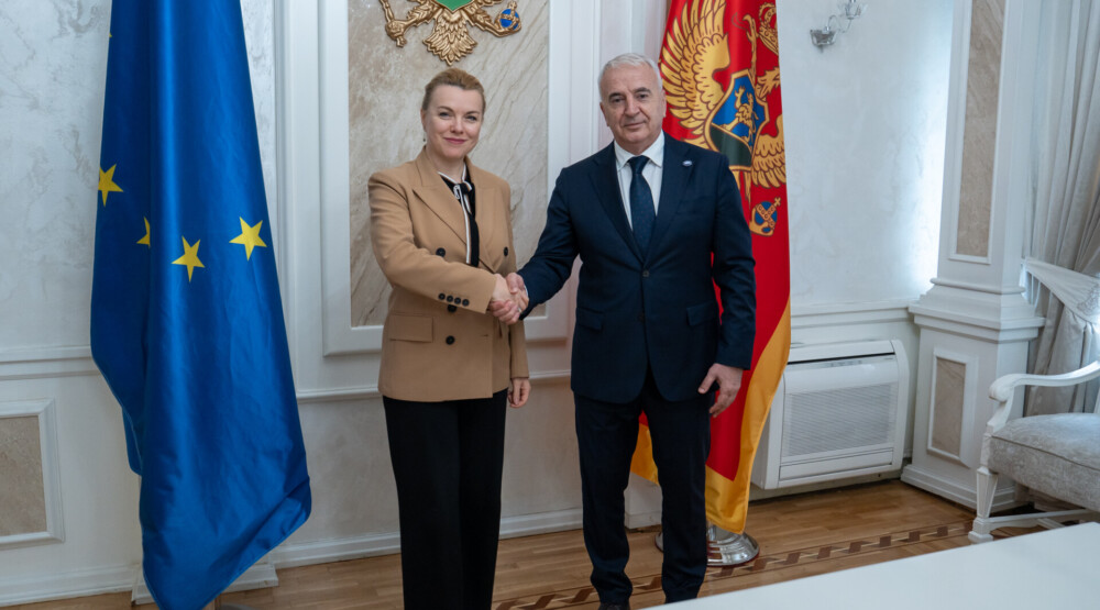 newest-news-post-image